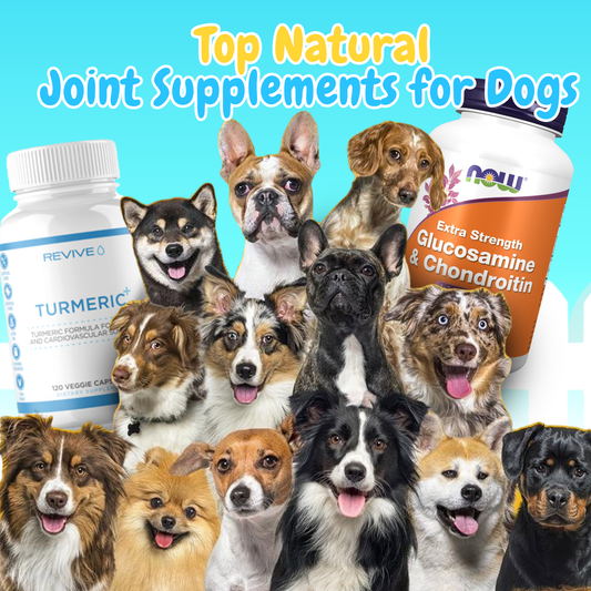 Top Natural Joint Supplements for Dogs