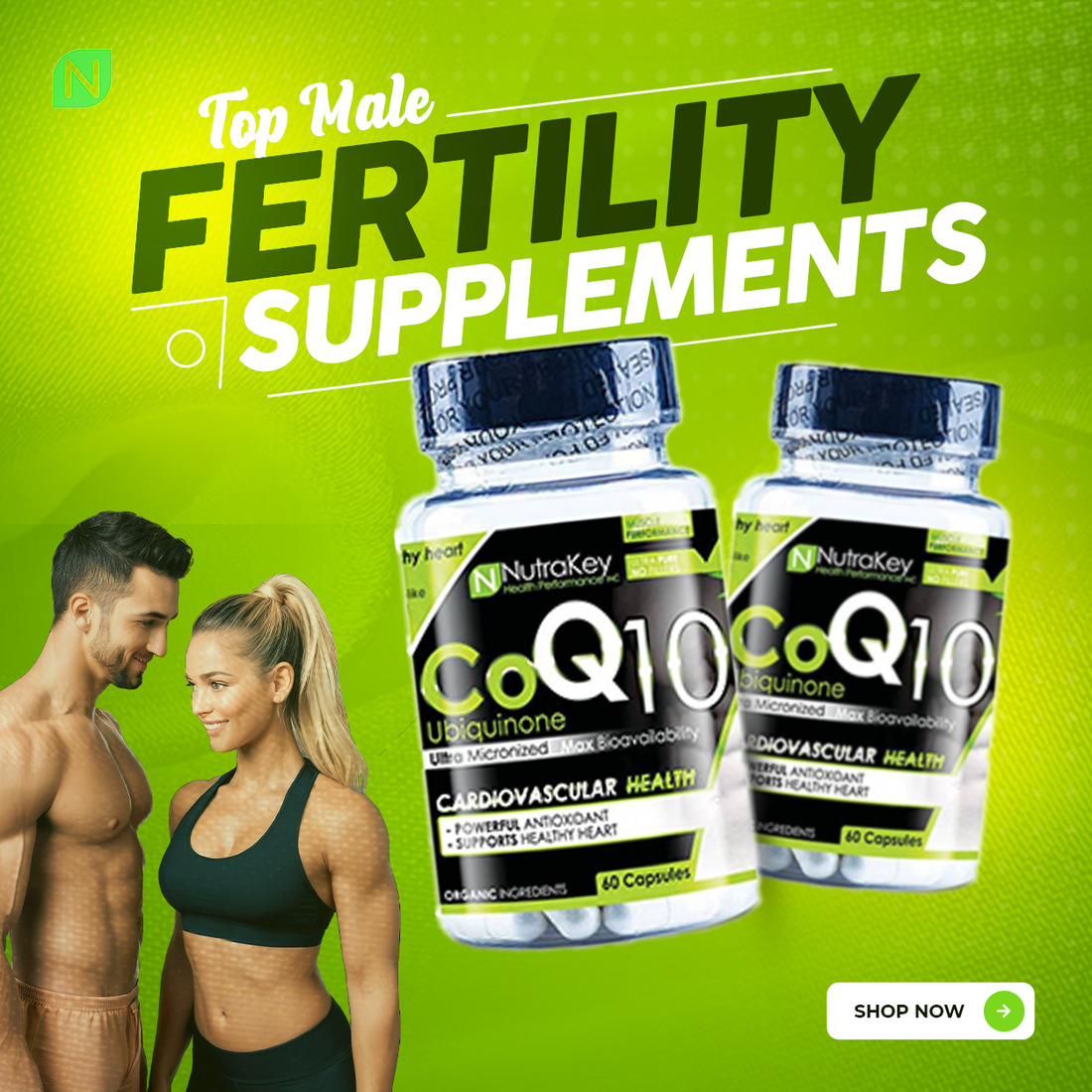 Male Fertility Supplements